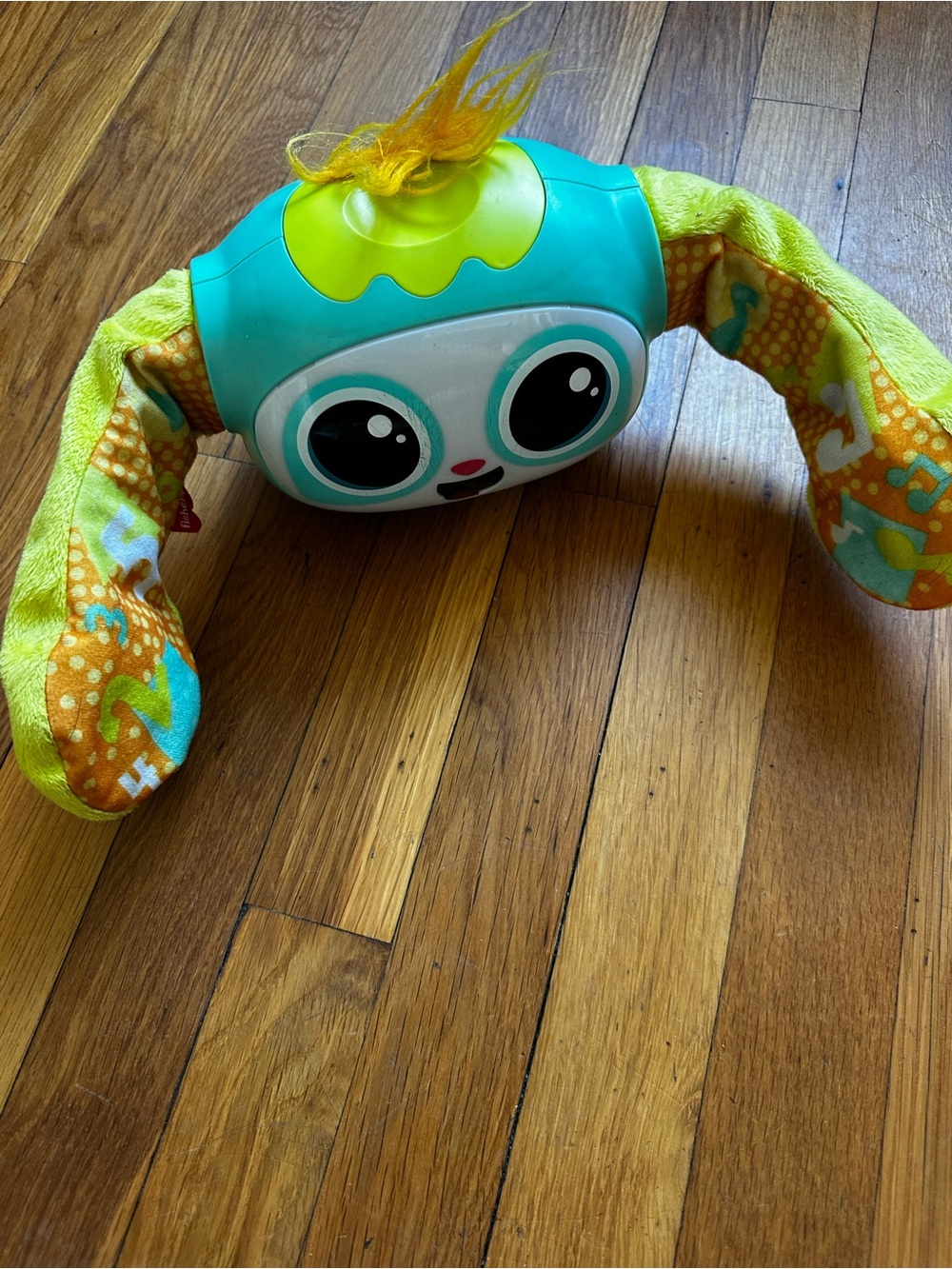 Fisher-Price Teal and Lime Interactive Plush-Eared Toy